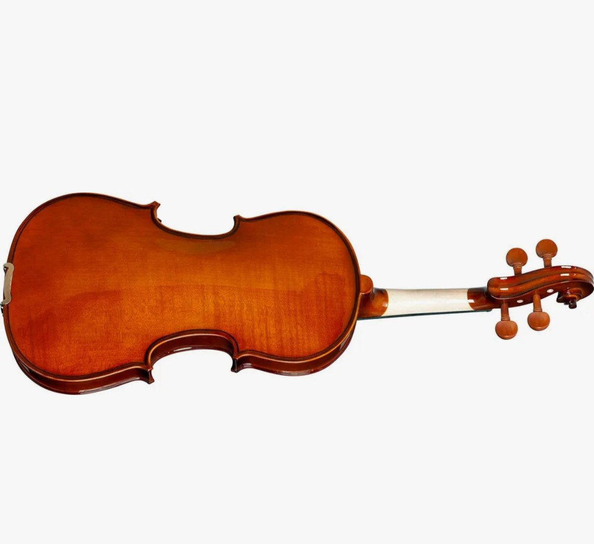 Violino Eagle visto por trás, com verniz âmbar