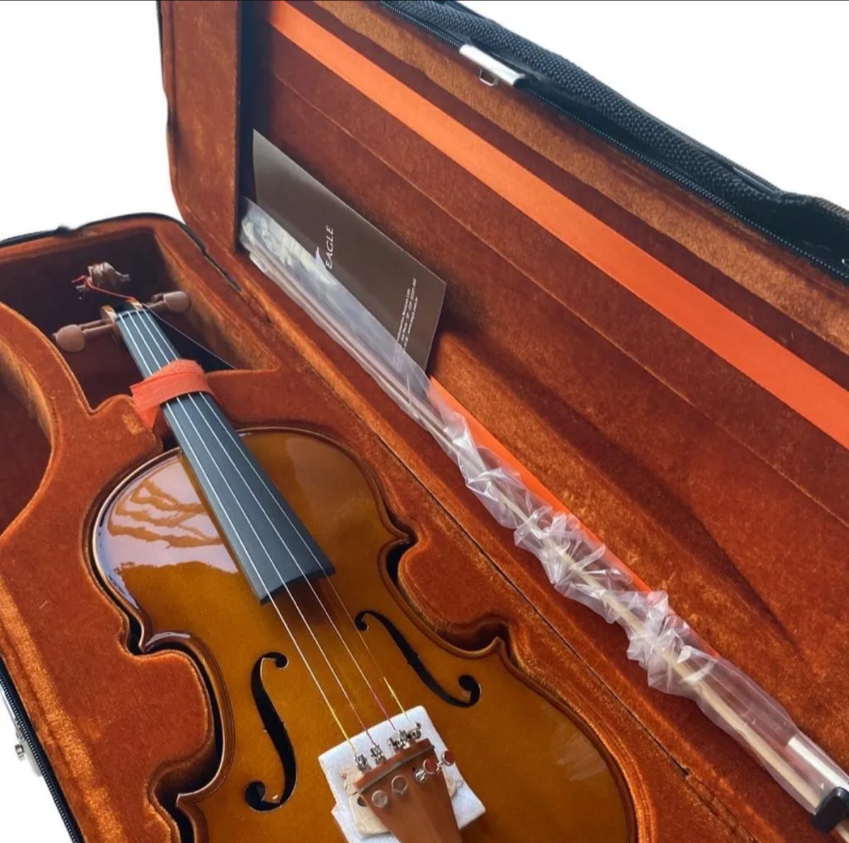 Detalhe do cavalete e cordas do violino Eagle no estojo