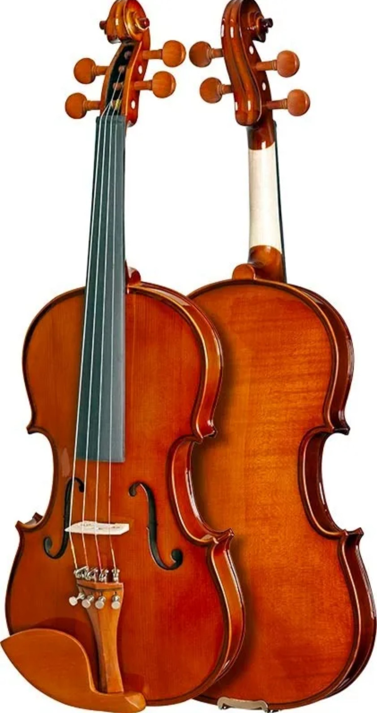 Violino visto de frente e por trás lado a lado